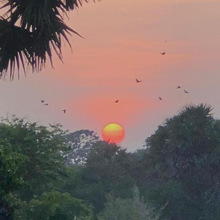 ארוגם Sunset View Beach Hotel מראה חיצוני תמונה